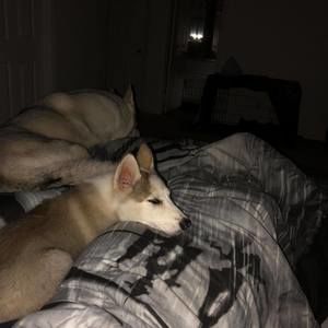 Meet your Posher, Eddie